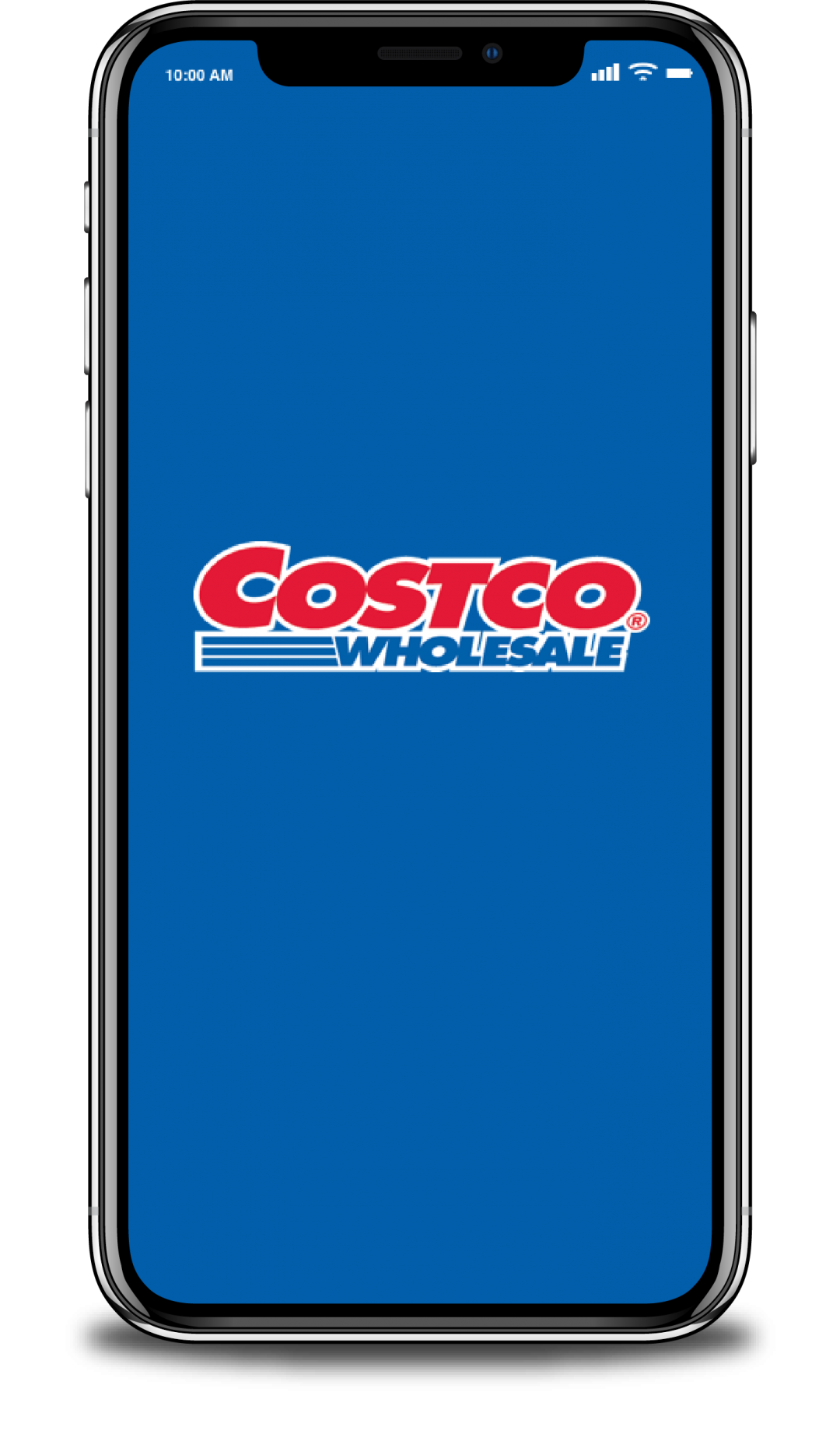 Costco App Cake Kitty Design